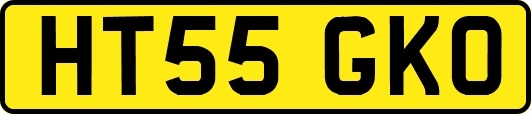 HT55GKO