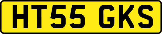 HT55GKS