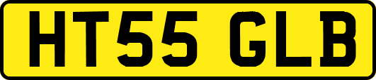 HT55GLB