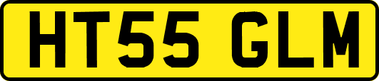 HT55GLM