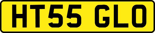 HT55GLO