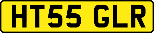 HT55GLR