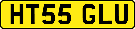HT55GLU