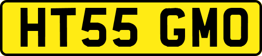 HT55GMO