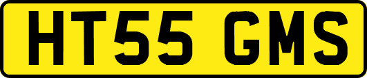 HT55GMS