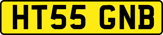 HT55GNB