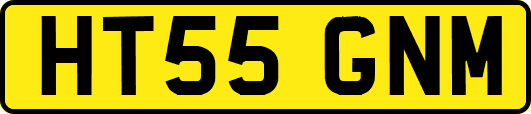 HT55GNM