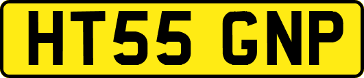 HT55GNP