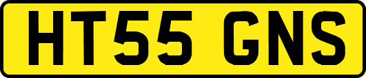 HT55GNS
