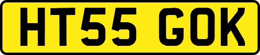 HT55GOK