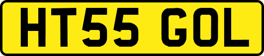 HT55GOL
