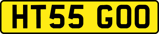 HT55GOO