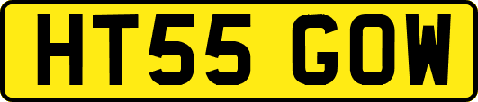 HT55GOW