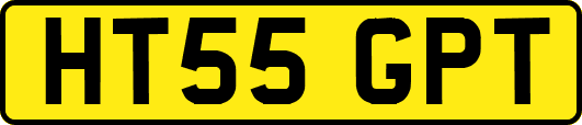 HT55GPT