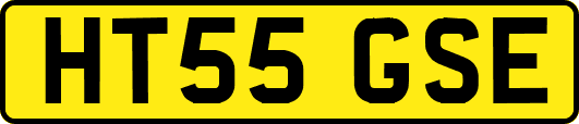 HT55GSE