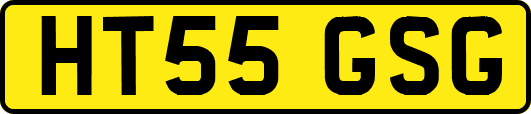 HT55GSG