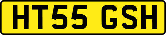 HT55GSH