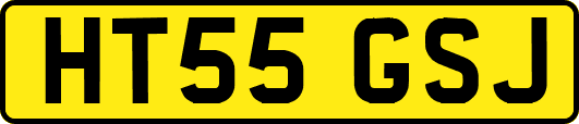 HT55GSJ