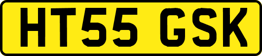 HT55GSK