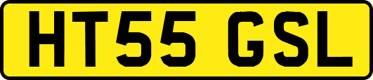 HT55GSL