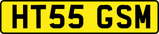 HT55GSM