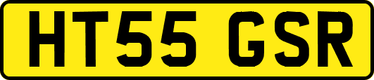 HT55GSR