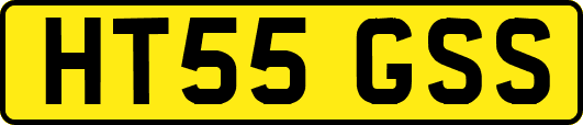 HT55GSS