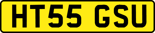 HT55GSU