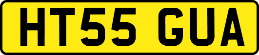 HT55GUA