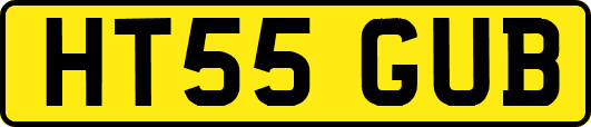 HT55GUB