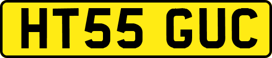 HT55GUC