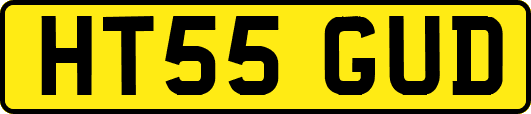 HT55GUD