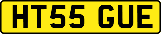 HT55GUE