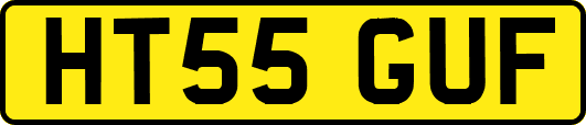 HT55GUF