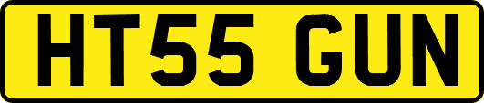 HT55GUN