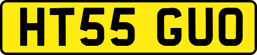 HT55GUO