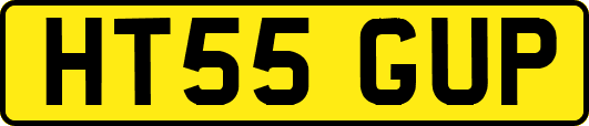 HT55GUP