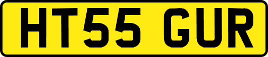 HT55GUR