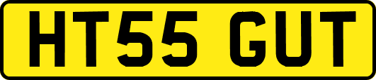 HT55GUT