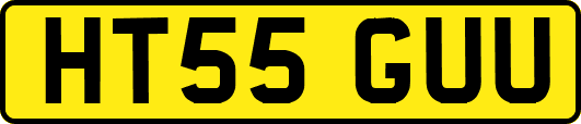 HT55GUU