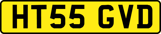 HT55GVD