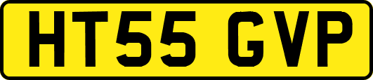 HT55GVP