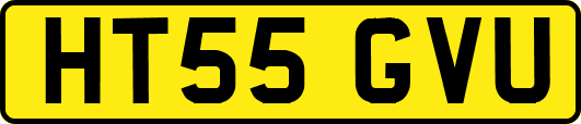 HT55GVU
