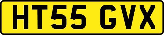 HT55GVX