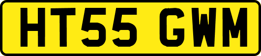 HT55GWM