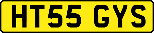 HT55GYS