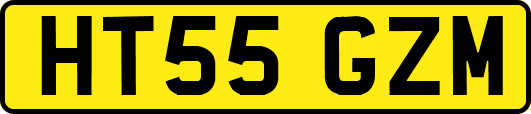 HT55GZM