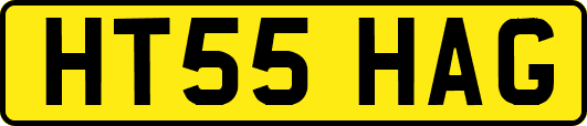 HT55HAG