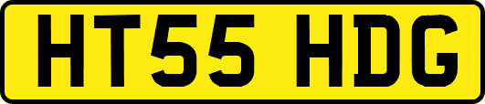 HT55HDG