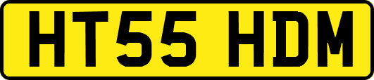 HT55HDM